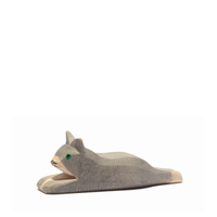 Cat small