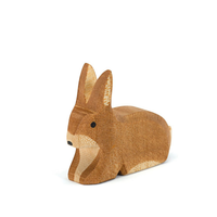 Rabbit spotted sitting