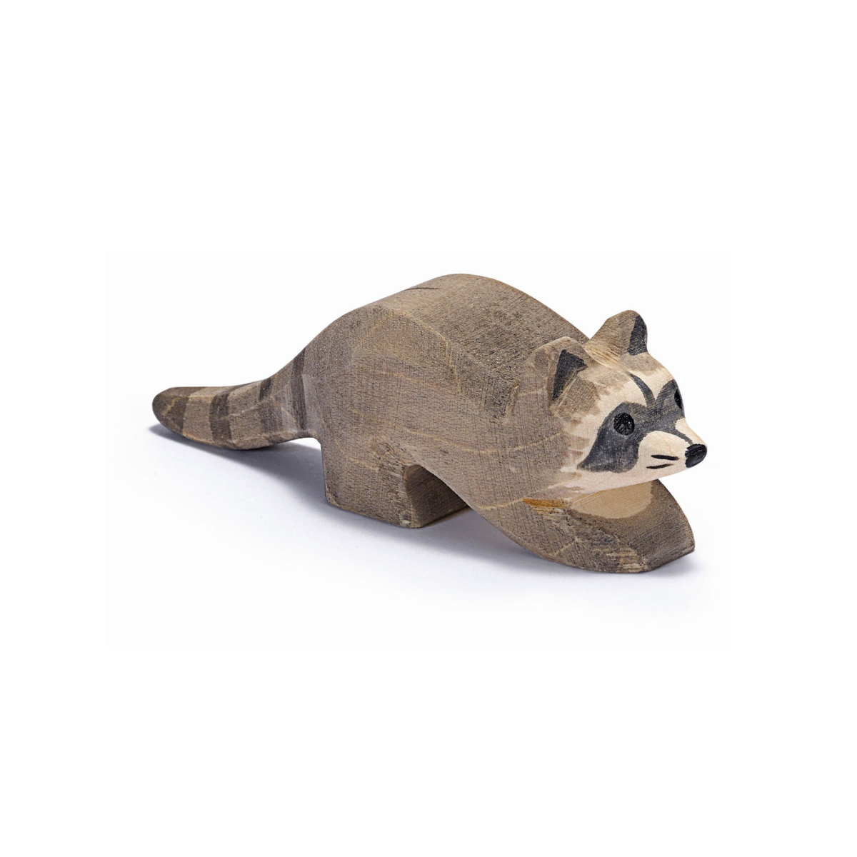 Raccoon small
