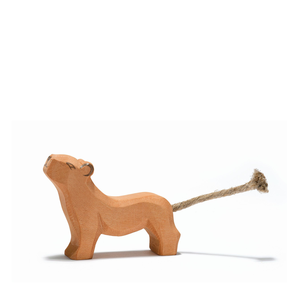 Löwe klein Kopf hoch