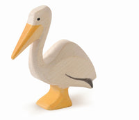 Pelican standing