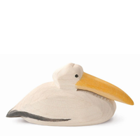 Pelican swimming