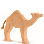 Dromedary