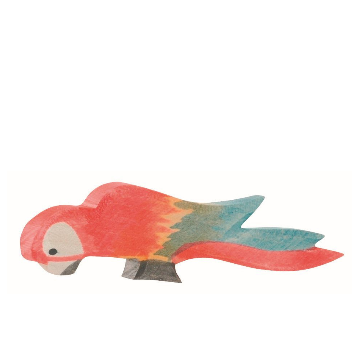 Parrot mulitcolor