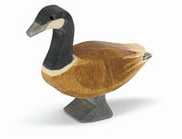 Canadian Goose standing