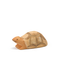 Schildkröte klein