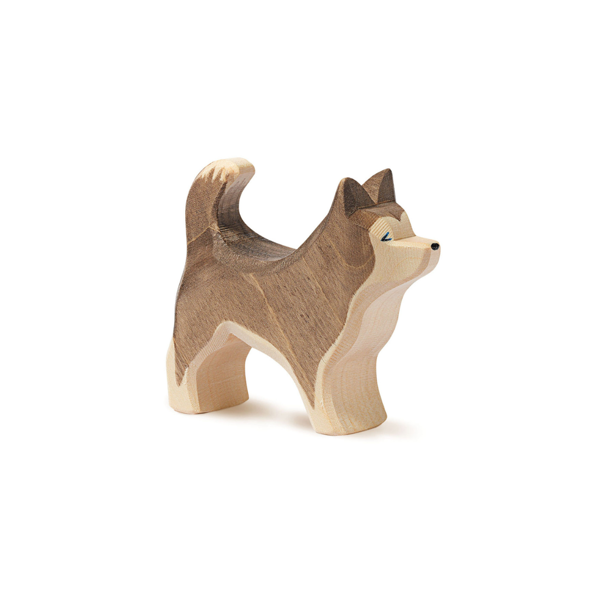 Schlittenhund stehend