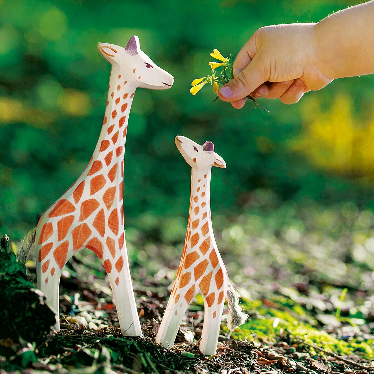 Tiere aus aller Welt