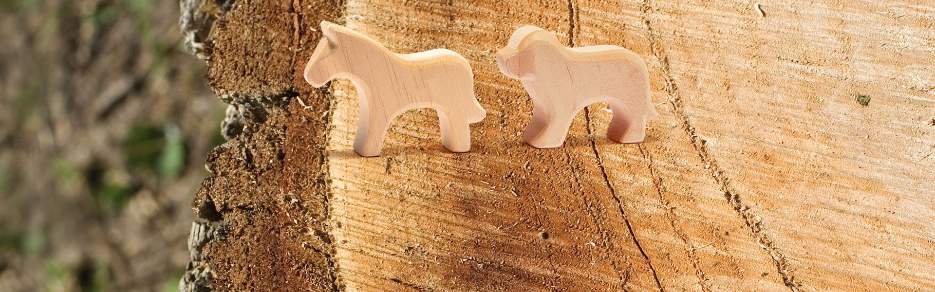 Holz - ein Geschenk der Natur